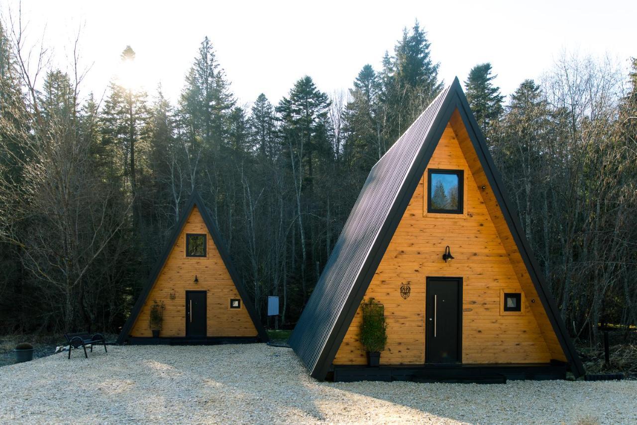 The Palo Cabins Predeal Exterior photo