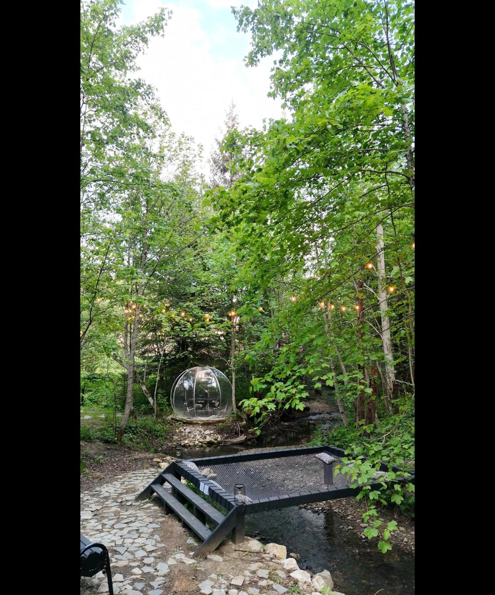 The Palo Cabins Predeal Exterior photo